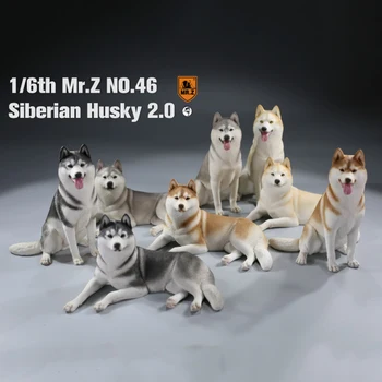 Domnul Z Nr. 046 CÂINI Husky Siberian Model de Jucărie 1/6 Simulare la Scară Câine Animal Model de Jucărie F 12