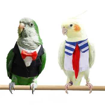 Pasăre Haine Fotografie Recuzită Drăguț Uniformă Școlară Smoching De Afaceri Papagali Papagal Papagalul Petrecere Arată Cosplay Costum De Zbor